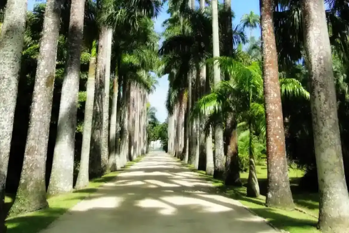 JARDIM BOTÂNICO